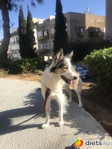 74 ����: ���� 2019