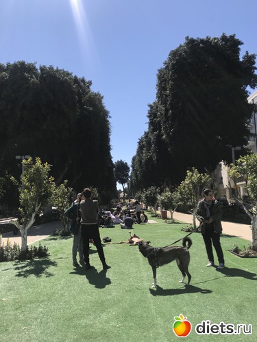 49 фото: Март 2019