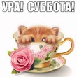 ����� �� ������� " ����� 60". ����� �� ������� �� 16.03.2019-17.03.2019