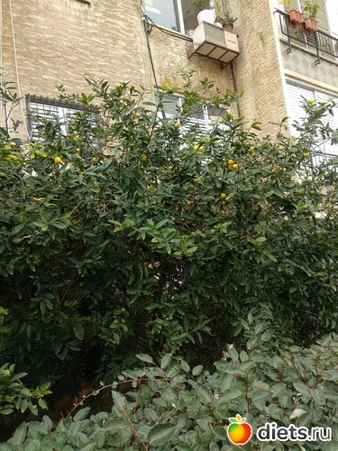 156 фото: Мой город