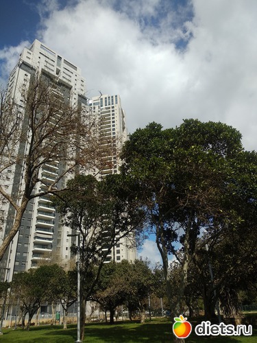 157 фото: Мой город