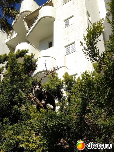 162 фото: Мой город