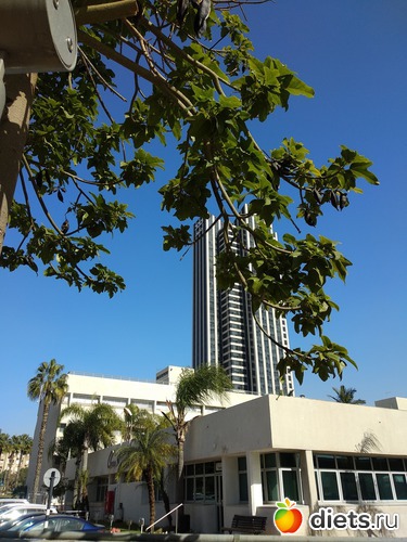 165 фото: Мой город