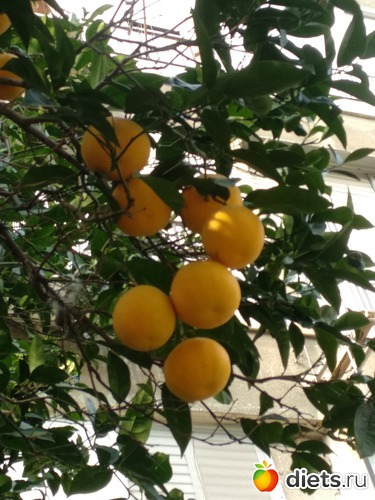 166 фото: Мой город