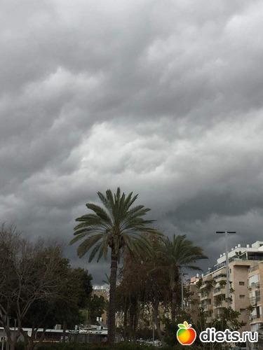 174 фото: Мой город