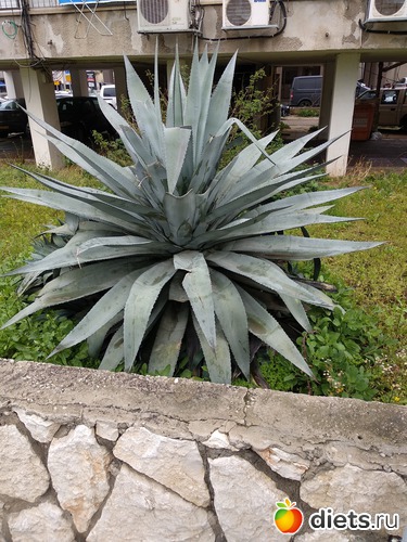 179 фото: Мой город