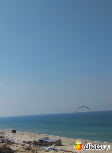 180 фото: Мой город