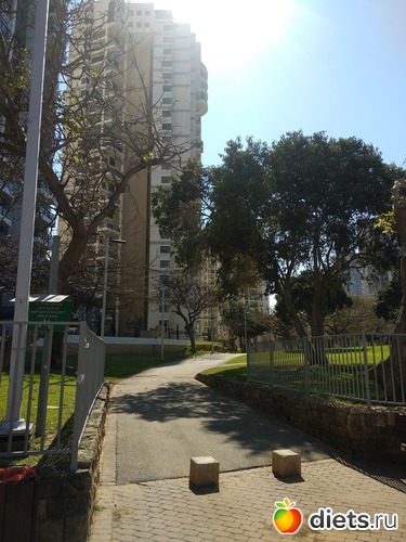 181 фото: Мой город