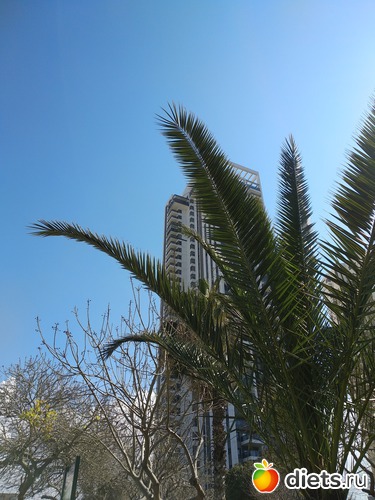 182 фото: Мой город