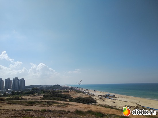 184 фото: Мой город