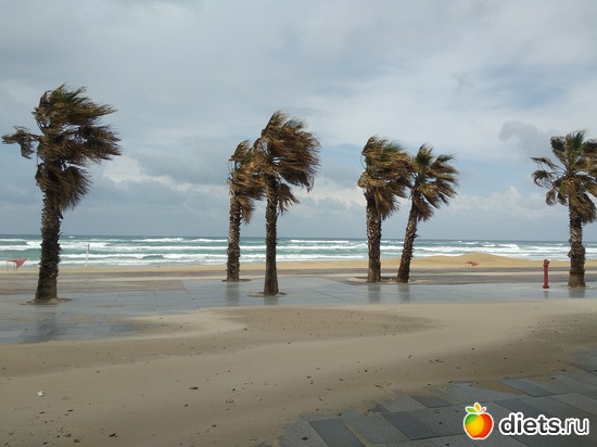 190 фото: Мой город