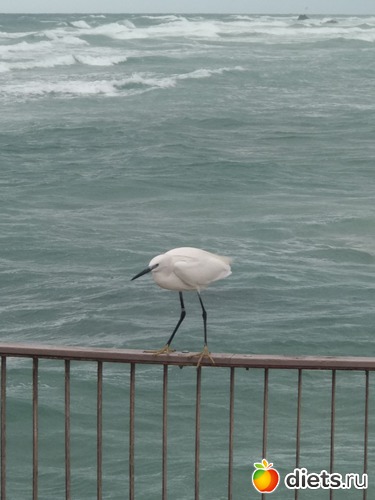 192 фото: Мой город