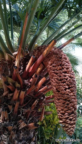 239 фото: Природа...