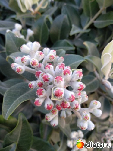 241 фото: Природа...