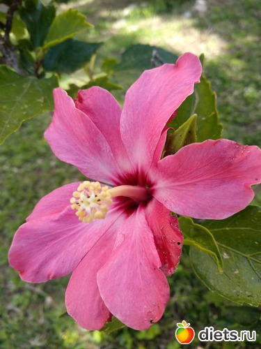 245 фото: Природа...