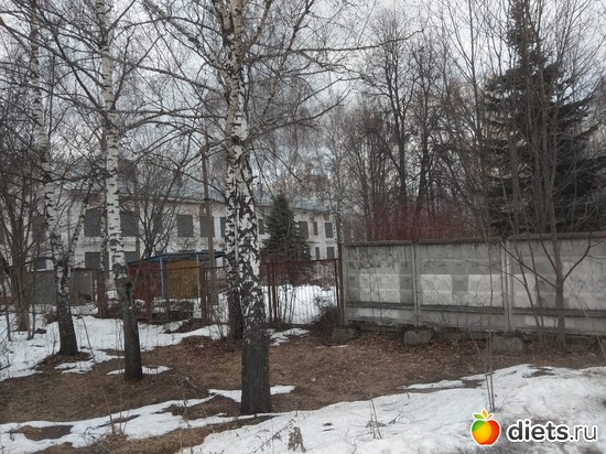 ����� ������������ ��� 23.03, ������: �������� ������� ����