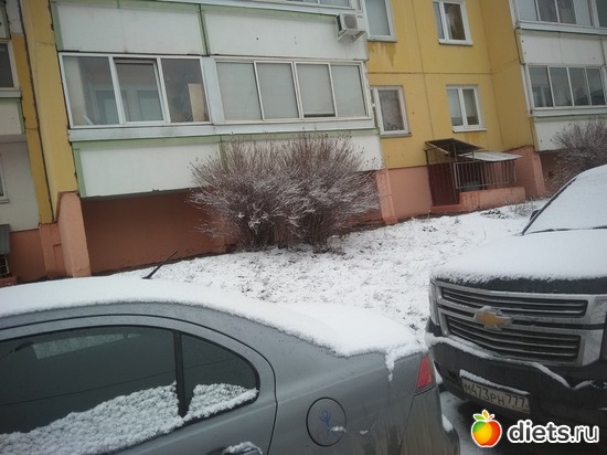 ����� 24 �����, ������: �������� ������� ����