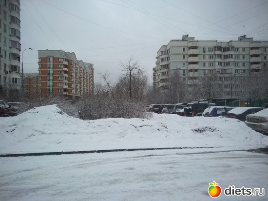 ����� 24 ����� 1, ������: �������� ������� ����