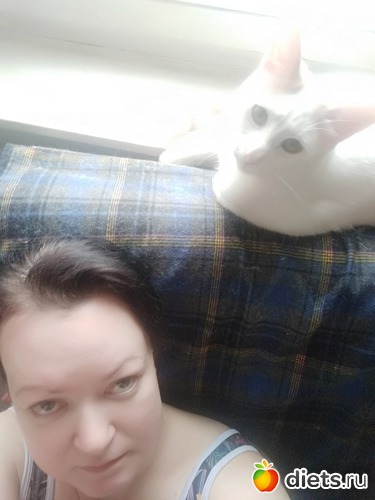 ����� ������� �� ����� 24 �����, ������: �������� ������� ����