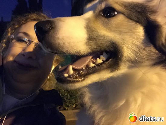 176 ����: ���� 2019