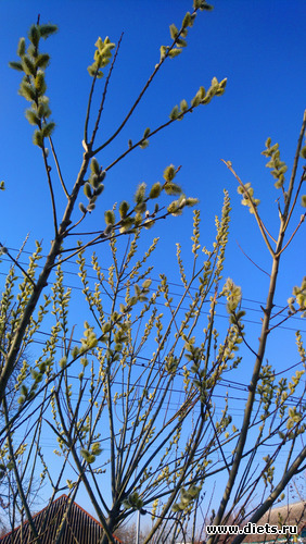 16 ����: �������� �������