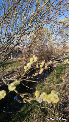 17 ����: �������� �������