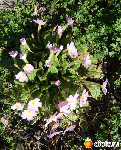 19 ����: �������� �������