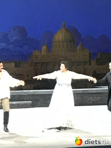 186 ����: ���� 2019