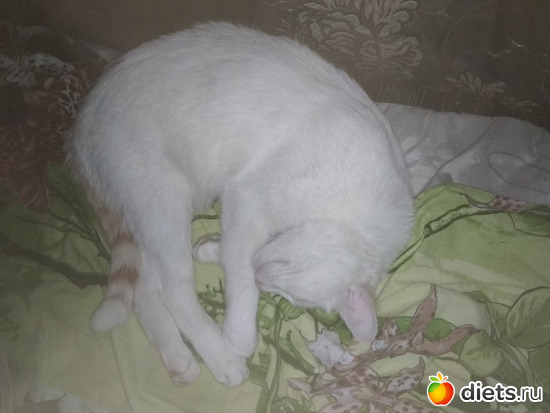 Филя спит, альбом: Шашлыки май 2019