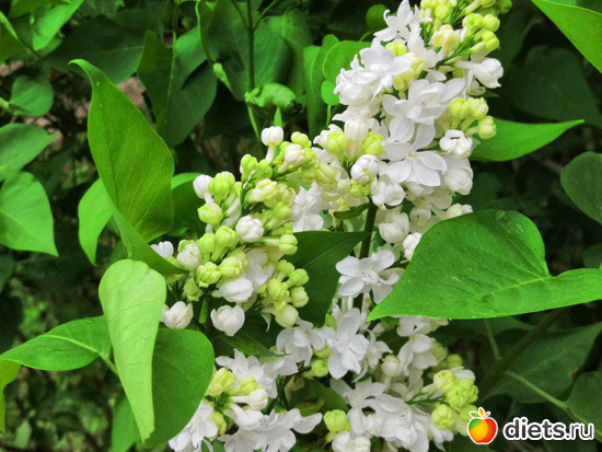 13 ����: ����� 2019 ������, ���