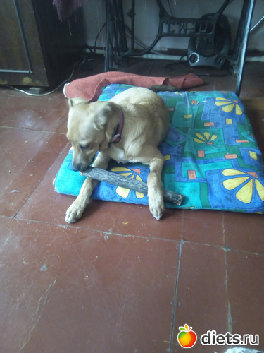 60 ����: ���