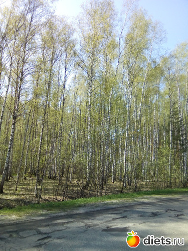 72 ����: ���