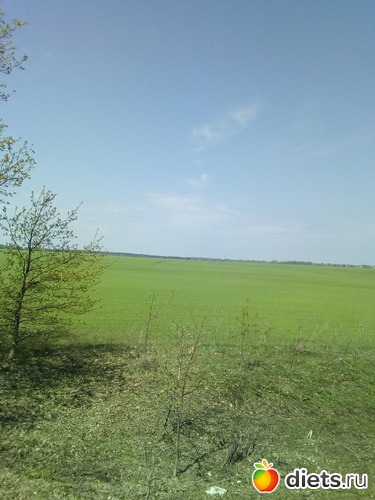 73 ����: ���