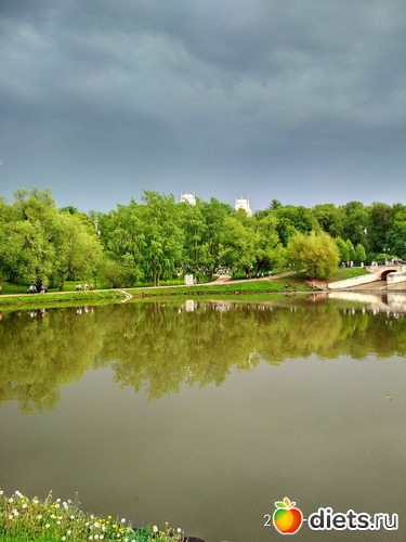 33 ����: ��������