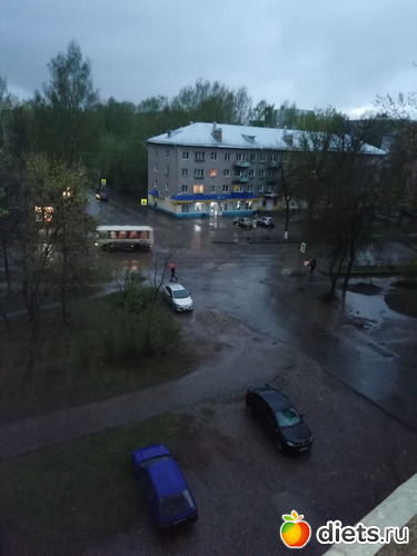 ����� ((((, ������: ��