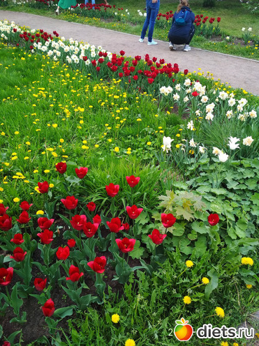 6 фото: Коломенское