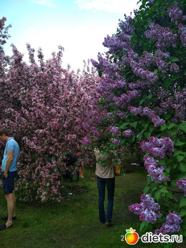 7 ����: �����������