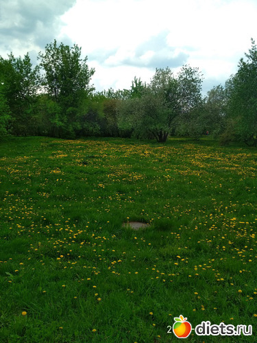 13 фото: Коломенское