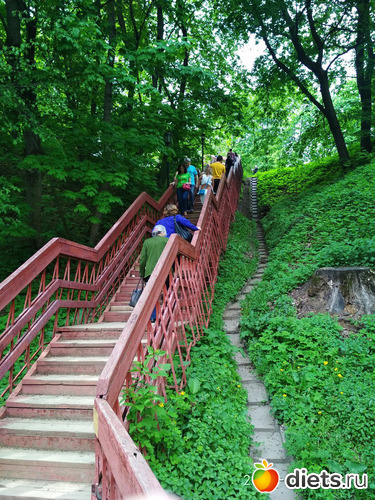 22 ����: �����������