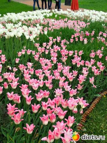 28 фото: Коломенское