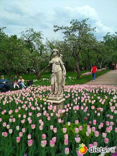 30 фото: Коломенское