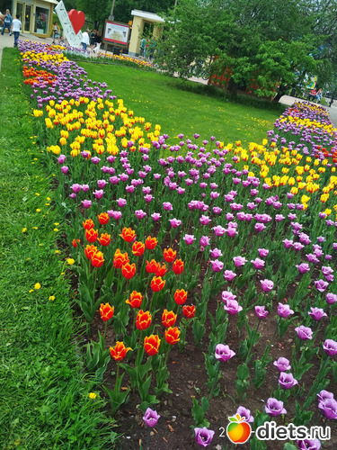 31 ����: �����������