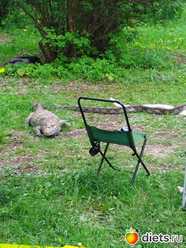 32 ����: �����������