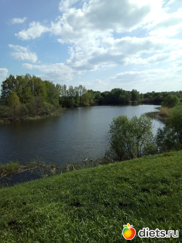 77 ����: ���