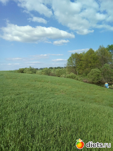 78 ����: ���