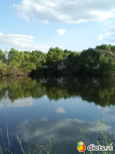 80 ����: ���