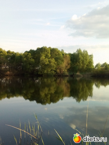 82 ����: ���