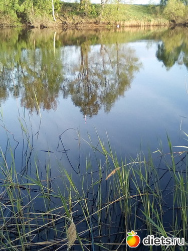 86 ����: ���