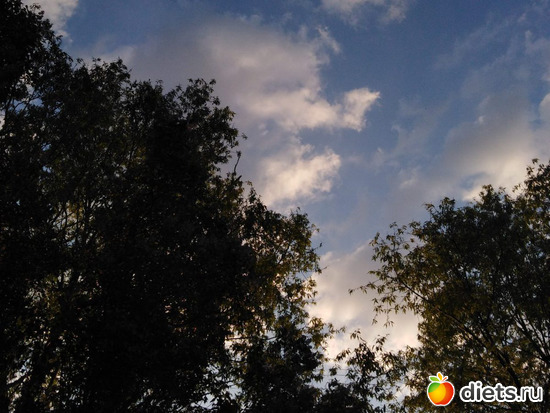 89 ����: ���