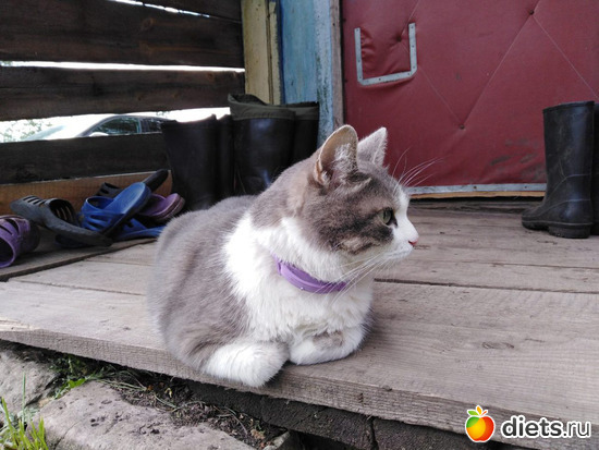 90 ����: ���